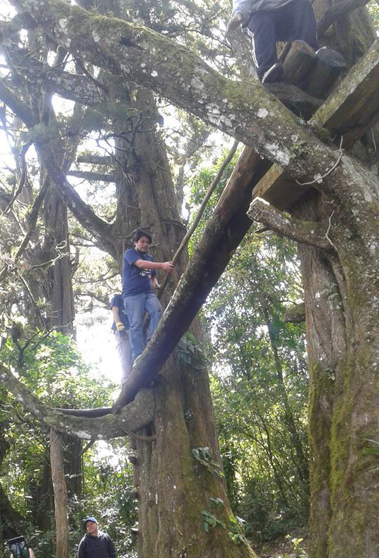 pista-de-obstaculos-en-muxbal-guatemala