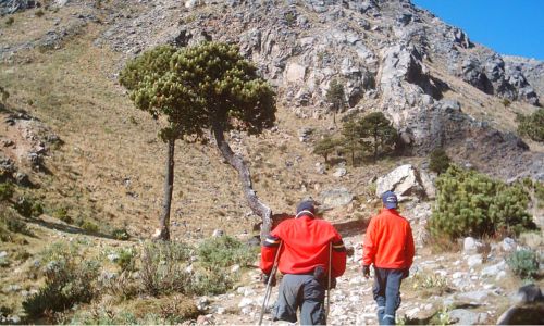 Volcán Tajumulco rumbo a la cimaen San Marcos