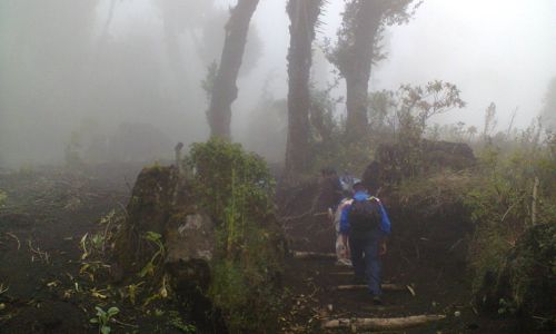 ascenso a Volcán Acatenango