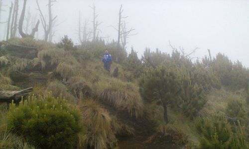 ascenso al Volcán Acatenango Guatemala