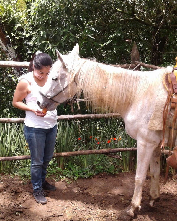 paseo de caballos en green rush