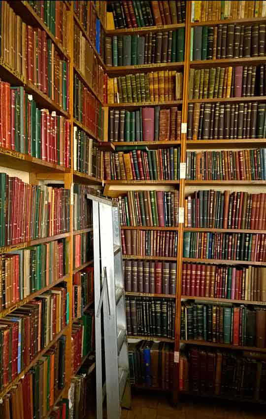 biblioteca cesar brañas willy posadas