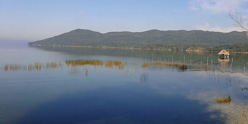 el remate destacada 2