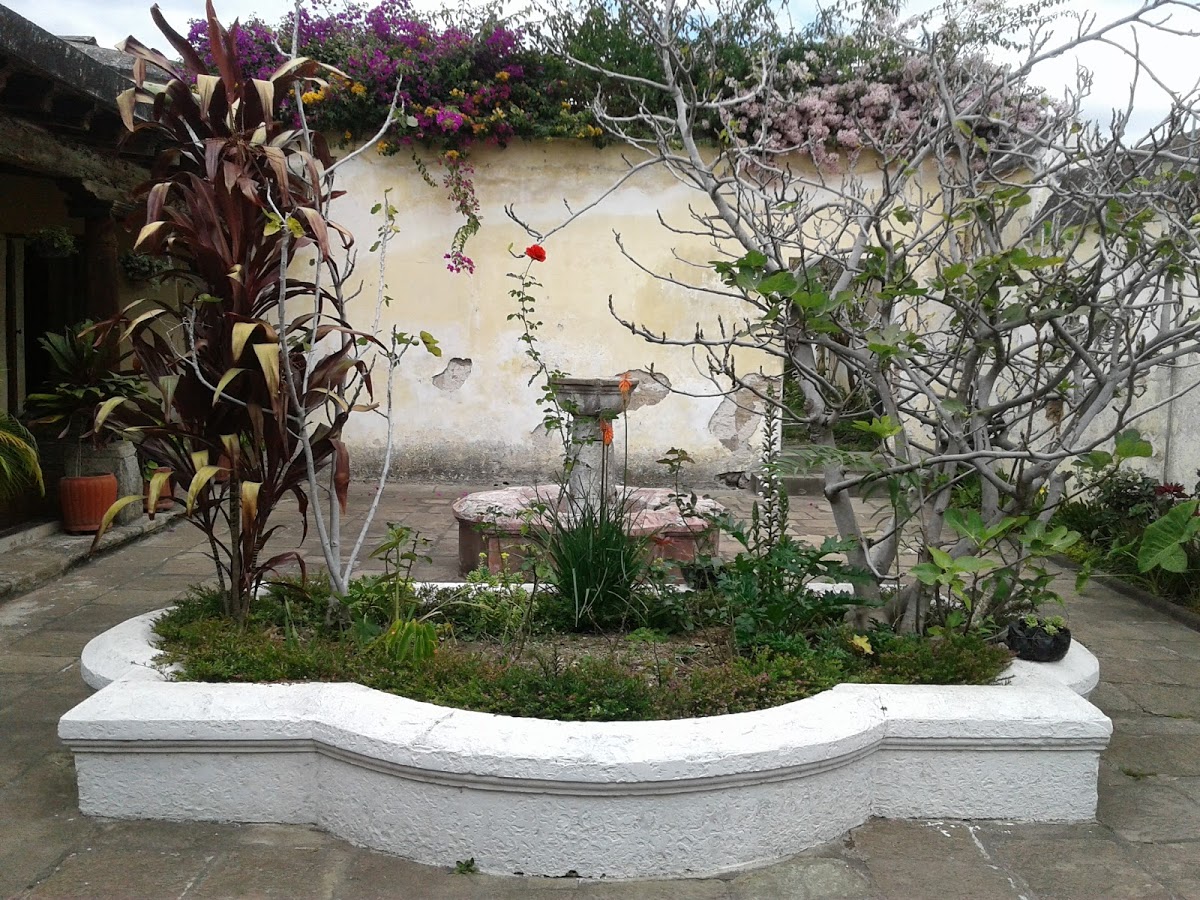 museo del libro patio
