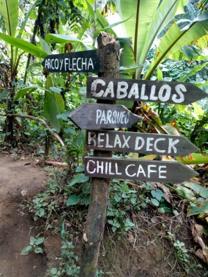 actividades en green rush