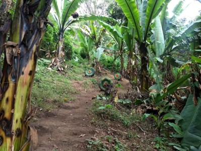 tiro con arco los blancos