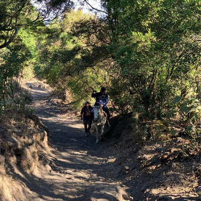 jose-a-caballo-volcan-pacaya-2019