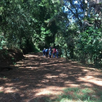 camino-ojo-de-halcon-muxbal-guatemala