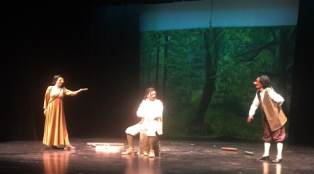 festival-de-junio-2019-medico-a-palos