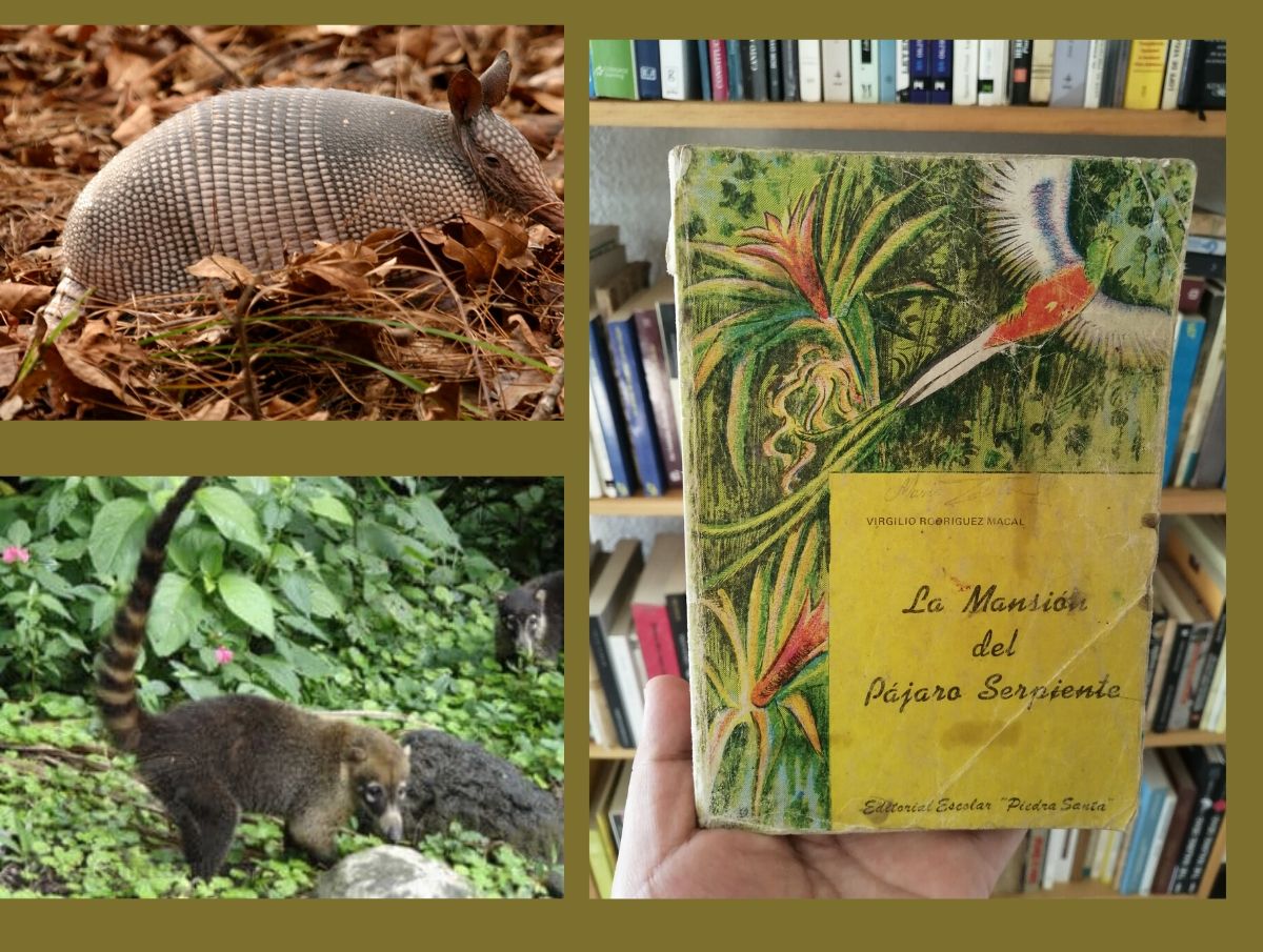 «La mansión del pájaro serpiente», de Virgilio Rodríguez Macal