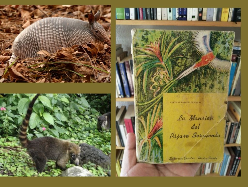 «La mansión del pájaro serpiente», de Virgilio Rodríguez&nbsp;Macal