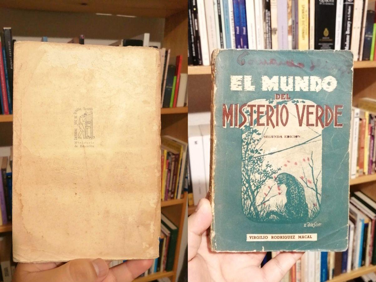 El mundo del misterio verde de Virgilio Rodríguez Macal