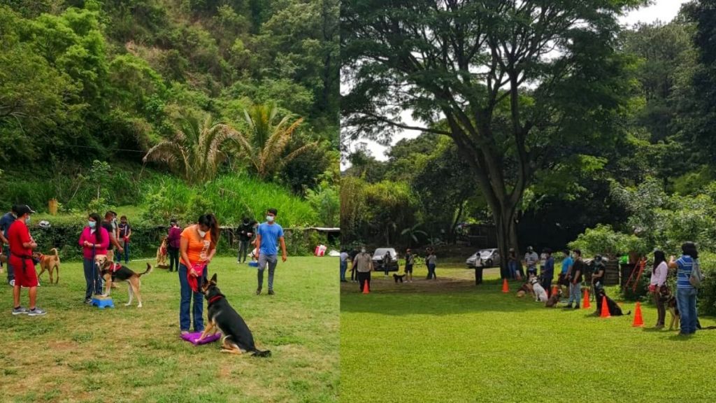 La Tribu K9, la escuela canina de&nbsp;Moka