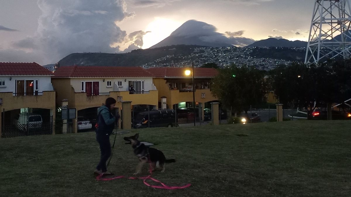 mantrailing guatemala rastreo