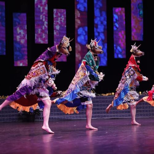 danza de venados paabank