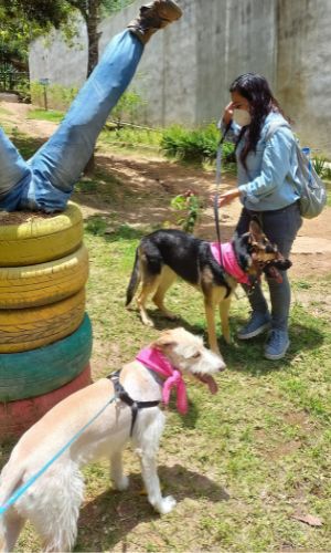 Parque Ecologico Kanayuju Guatemala