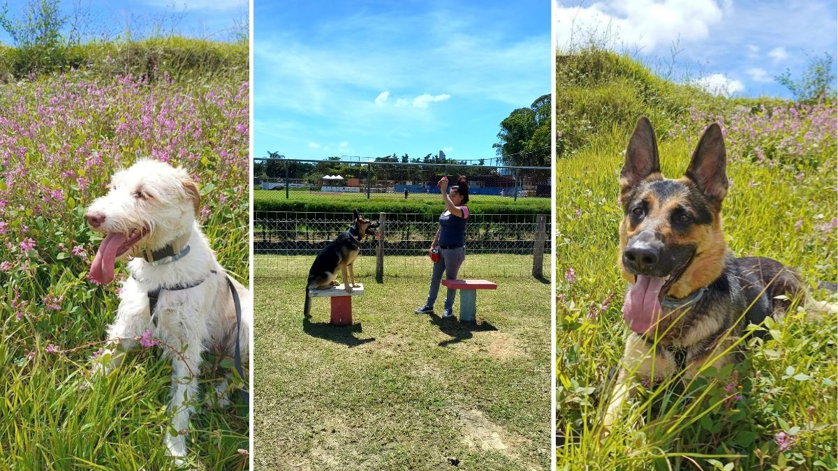 Parque Erick Barrondo Guatemala