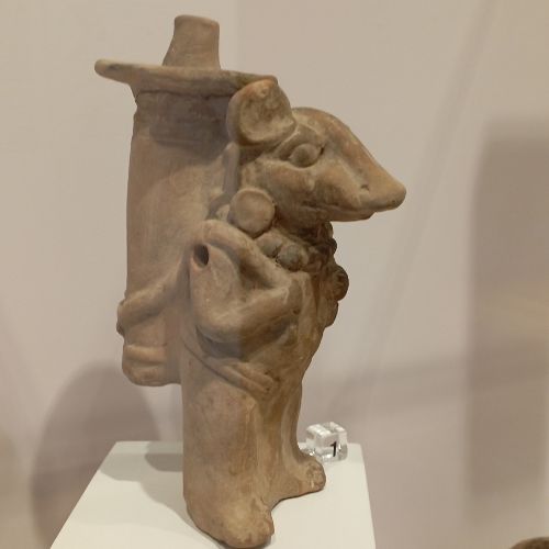 Museo Miraflores Ciudad de Guatemala