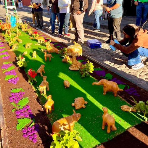 Alfombras de aserrin para semana santa guatemala