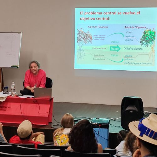 Marco lógico con Trudy Mercadal diplomado en gestión cultural