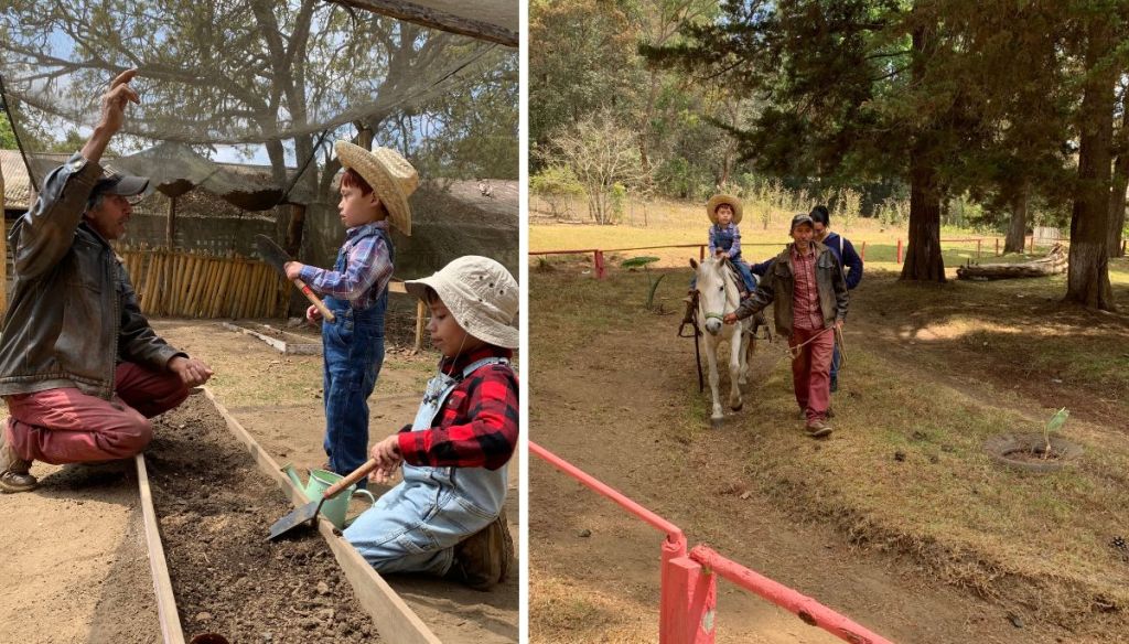 Conociendo animalitos en Granja Don Pietro, en San&nbsp;Lucas