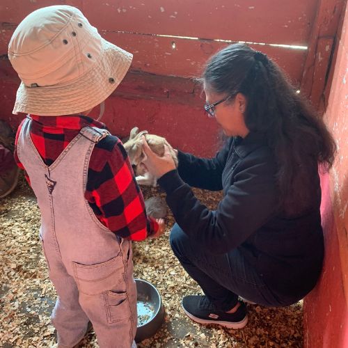 Granja Don Pietro conociendo animalitos