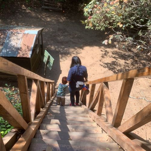 Visita a Cerro Alux parque ecológico gradas de mirador