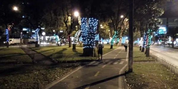 Es bueno caminar como ejercicio perros (1)