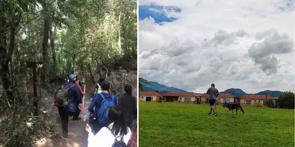 Es bueno caminar como ejercicio perros